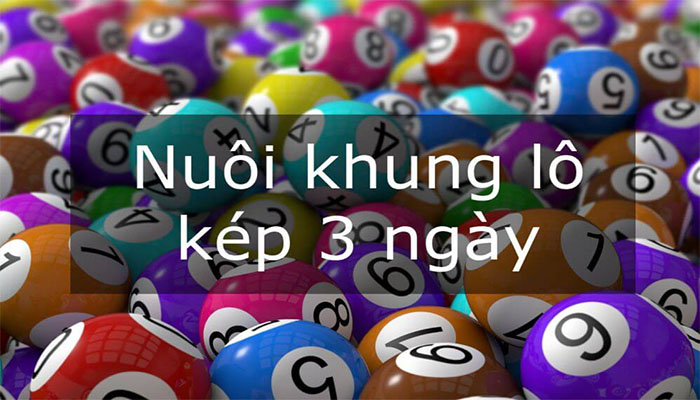 Hướng dẫn cách nuôi khung lô kép 3 ngày